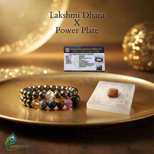 Lakshmi Dhara & Power Plate
